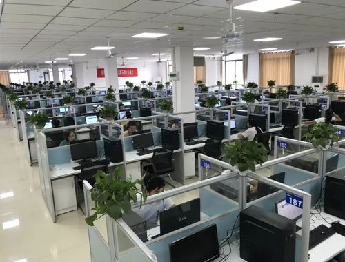 遵義軟件園 以服務外包為基礎，三位一體促進第三產業發展